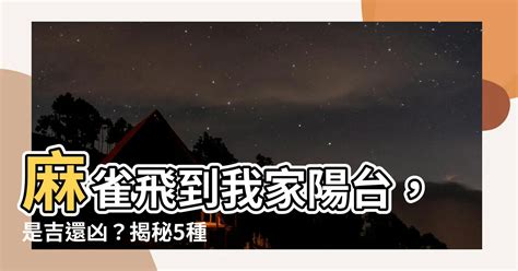 鳥飛 入 屋 風水|【鳥飛 入 屋 風水】鳥飛入屋必看！風水大師解析自來鳥的神秘玄。